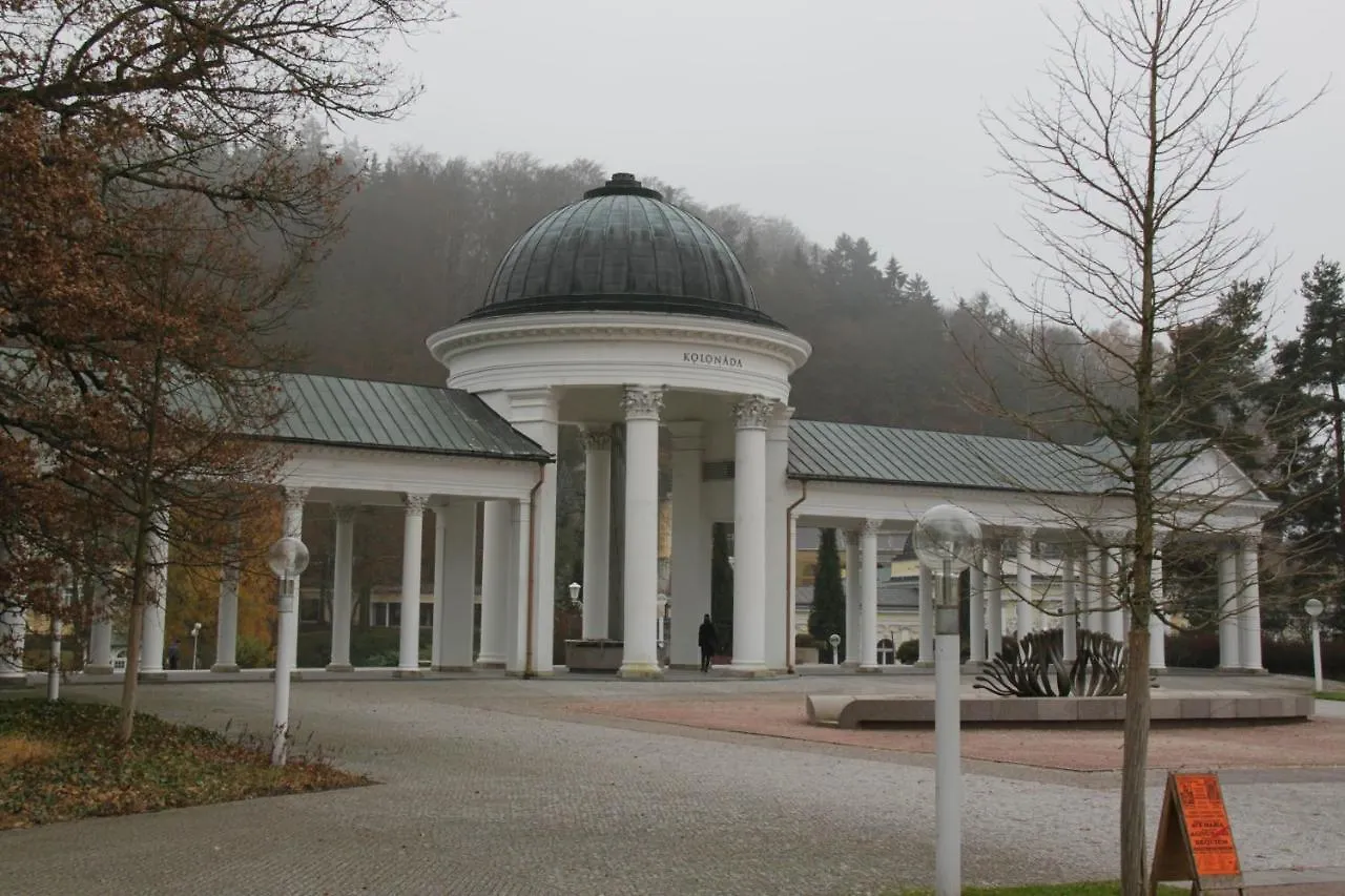 Apartman Karlovarská Mariánské Lázně